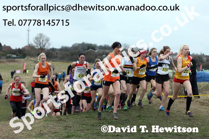 Senior womens Start Fitness NEHL, Wrekenton, Gateshead. Photo: David T. Hewitson/Sports for All Pics